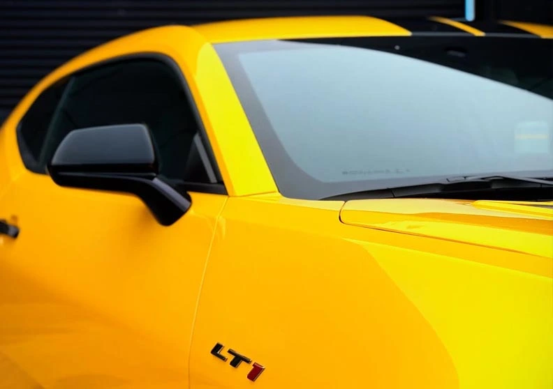 window tintin wraptitude 1