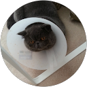 nic W. profile picture