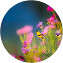 Joanna W profile picture